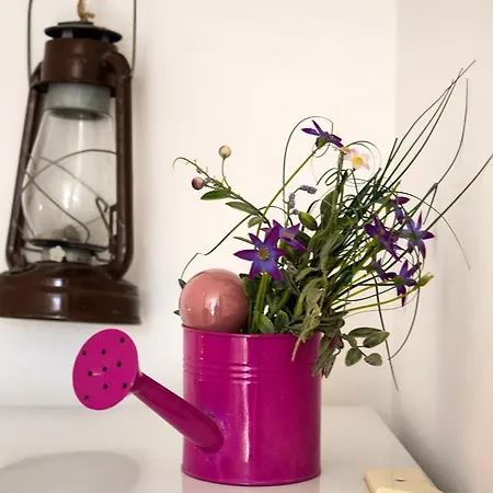 招待所 斯普利特住宿酒店 3*