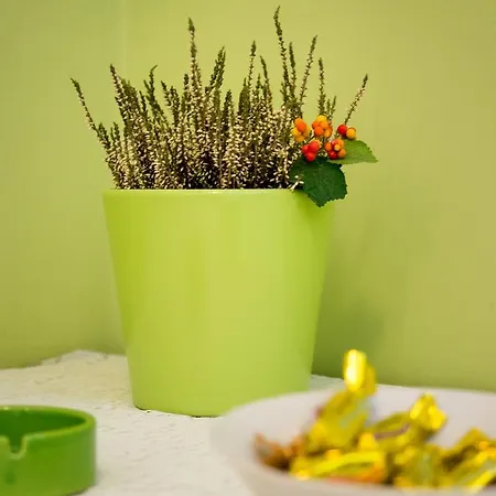 斯普利特住宿酒店