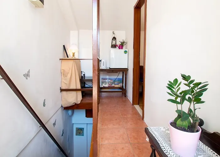 Split Accommodation Гостьовий будинок Спліт