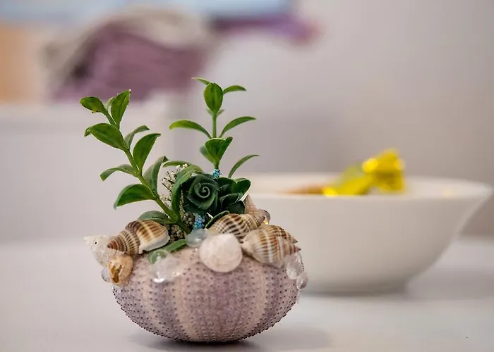 Split Accommodation Gostinjska kuća