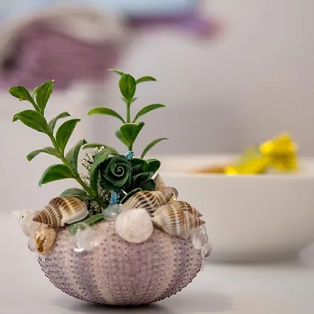 Split Accommodation Pensión